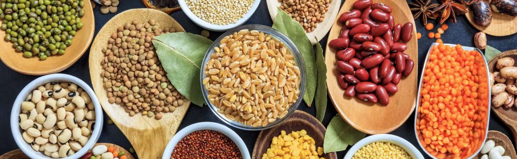légumineuses